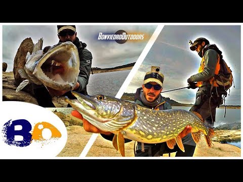 PESCA a SPINNING en INVIERNO ¡Dile adiós al frio! | www.bofishing.es