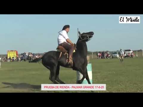 Palmar Grande, prueba de rienda