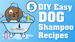 5 Easy Homemade DIY Dog Shampoo Recipes
