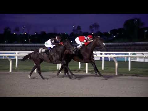 210321 c07 JULIA DIAMOND  (BRZ)