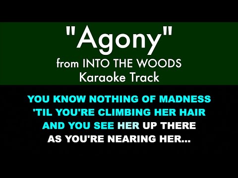 "Agony" from Into the Woods - Karaoke Track with Lyrics on Screen