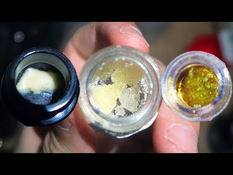 download lagu mp3 mp4 Sugar Sf Wax, download lagu Sugar Sf Wax gratis, unduh video klip Sugar Sf Wax