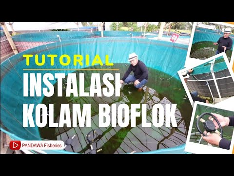 Tutorial Instalasi Kolam Bioflok... Wajib Tahu untuk Pemula