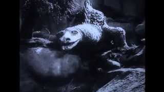 CAPTAIN BEEFHEART --  PETRIFIED FOREST