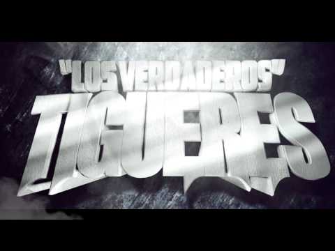 Video de YouTube