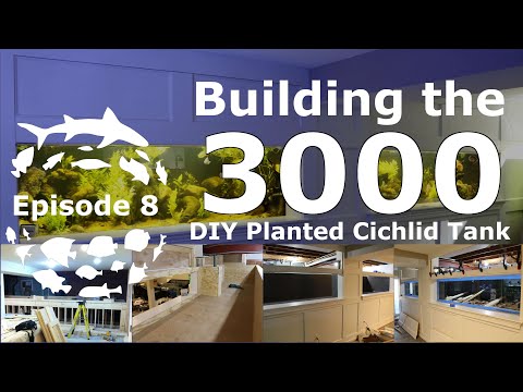 Building a 3000 Gallon DIY plywood / epoxy Planted Amazon Big Cichlid Aquarium. Over 20 Feet Long!