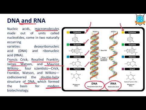 What is the meaning of DNA and RNA ? || DNA and RNA అంటే ఏమిటి?