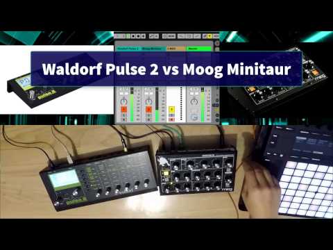 Waldorf Pulse 2 vs Moog Minitaur