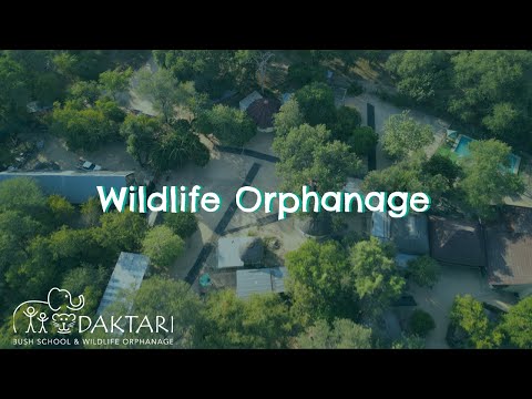 Keep Our Rescued Animals Healthy & Safe