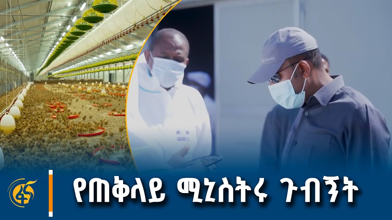 ጠቅላይ ሚኒስትር ዐቢይ አሕመድ (ዶ/ር) በከሚሴ ከተማ የኤልፎራ አግሮ-ኢንዱስትሪ የተቀ?