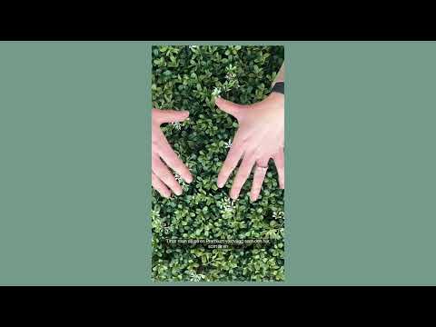 BY FAUX VS BUDGET | VÄXTVÄGGAR