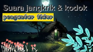 Download lagu Suara jangkrik dan kodok || Relaksasi untuk pengantar tidur mp3 Download lagu Suara jangkrik dan kodok || Relaksasi untuk pengantar tidur mp3