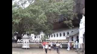 preview picture of video 'Dambulla Sri Lanka Acme Travels'