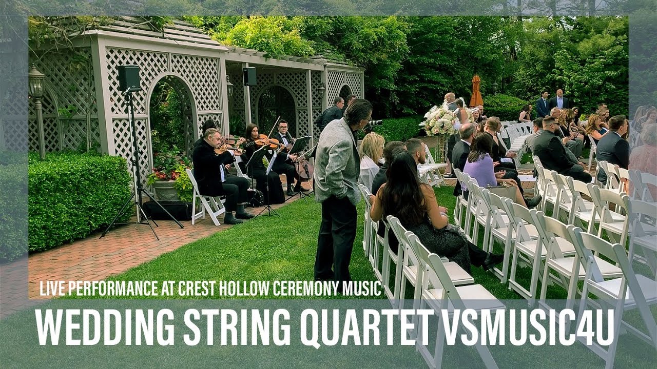 Promotional video thumbnail 32 for VSmusic4u Wedding & Event Musicians