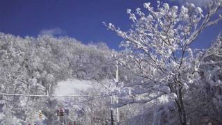 preview picture of video 'February 07, 2010 Snowstorm - Charleroi, Pennsylvania - Carol of the Bells'