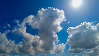Relax - Column of Clouds Passing With the Forest Winds ☁️🌲✨