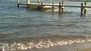 Mar 23 2007 - VID00088 Mar 23 2007 - VID00088