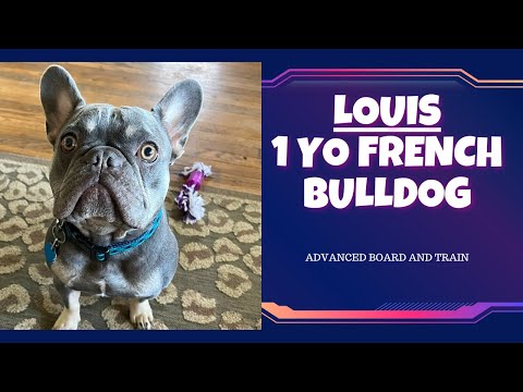 OverWatch K9 Academy video.