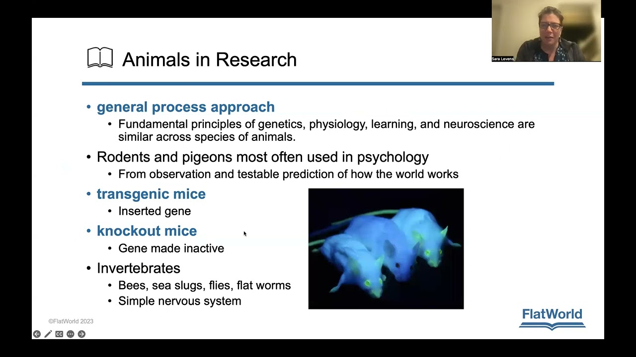 Chapter 4: Research Methods