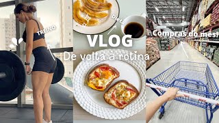 PRIMEIRO VLOG DO ANO | ROTINA, TREINO, DIETA & COMPRAS DO MÊS