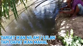 Download lagu SUNGAI BATANG MASANG KEMBALI MEMBERI REZKI || GARAME DAN NILAM || BUMI MINANG CHANNEL mp3
