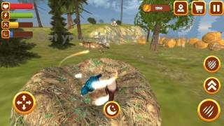 Hungry Honey Badger Simulator Gameplay Video Android/iOS