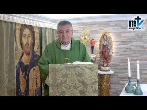 "Cristo Quiere Salvarte, no le Hagas Sufrir" | Homilía, Jueves XXX Semana del T.O (29-10-2026) | P. Santiago Martín, FM