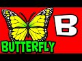 ABC PHONICS Sounds A Z For Kids Learn 26 Insect Names With ABC Sounds