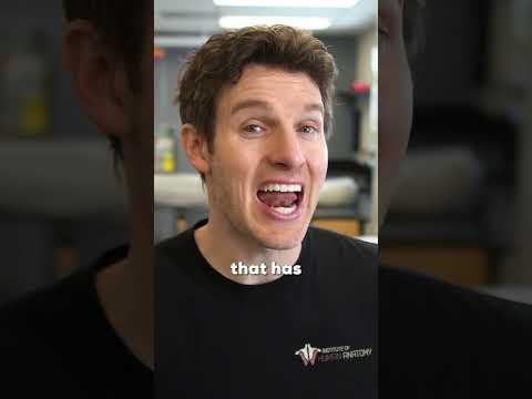 Herpes! How You Get Infected