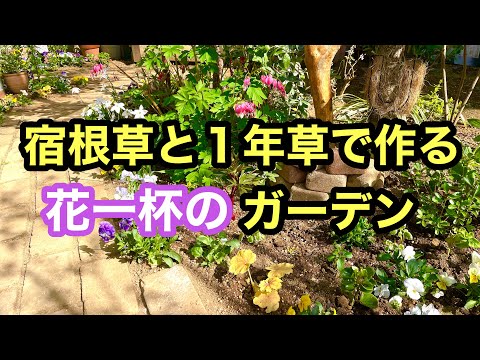 2月に庭で何をするか 若い植物を始める 鉢に種をまく 温室