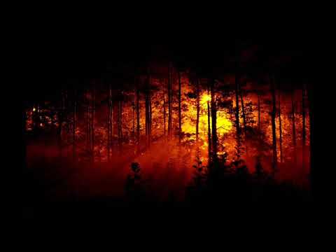 08. Pestek - 32 Wersy " Juz Nie Ten Sam "