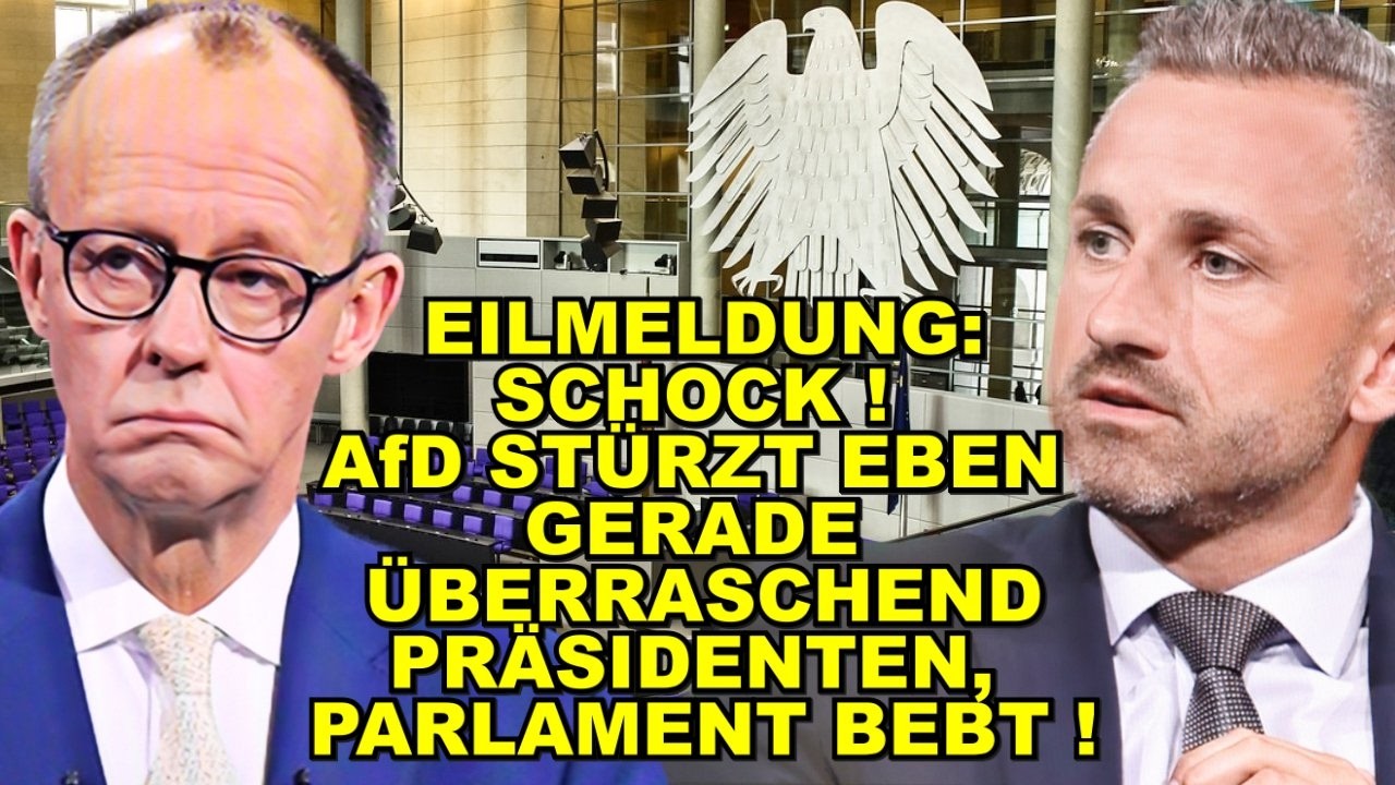 EIL: AfD STÜRZT eben PRÄSIDENTEN!