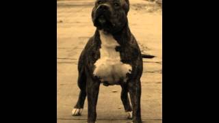 Let It Go - Crucial Conflict