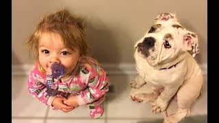 Cute Dogs Love Babies Compilation