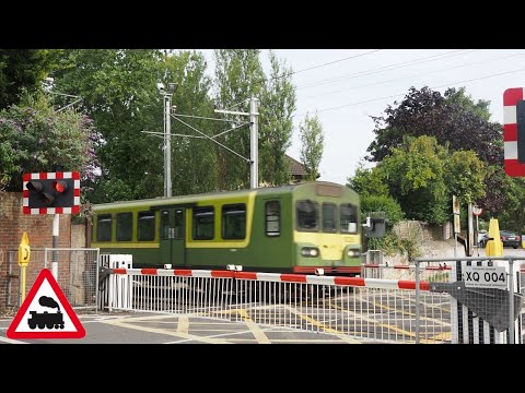 IÉ 8100 & 8510 class Trains - Claremont Road level Crossing (16/7/22).