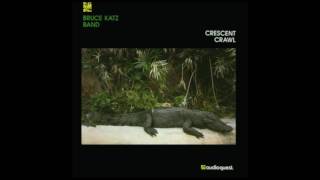Bruce Katz Band - Crescent Crawl - 1992 - Contrition - Dimitris Lesini Blues