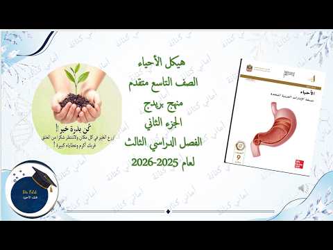 شرح الهيكل بريدج
