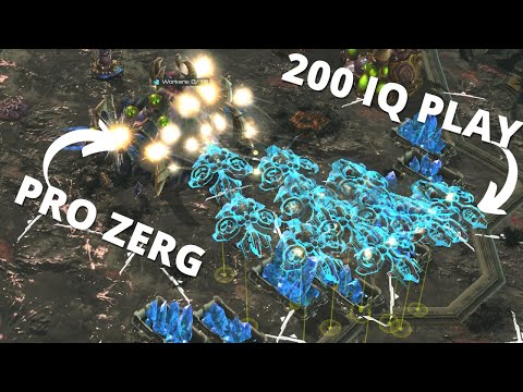 We Set A NEW Sky Terran Record