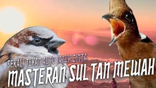 Download lagu TEMBAKAN GEREJA TARUNG SAMBUNG CILILIN PANJANG JERNIH || MASTERAN PILIHAN JURI MURAI BATU JUARA mp3 Download lagu TEMBAKAN GEREJA TARUNG SAMBUNG CILILIN PANJANG JERNIH || MASTERAN PILIHAN JURI MURAI BATU JUARA mp3