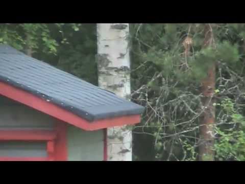 Rupes pikkusen tihuttamaan