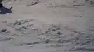 Me Boarding in Obertauern to Medium is the Message