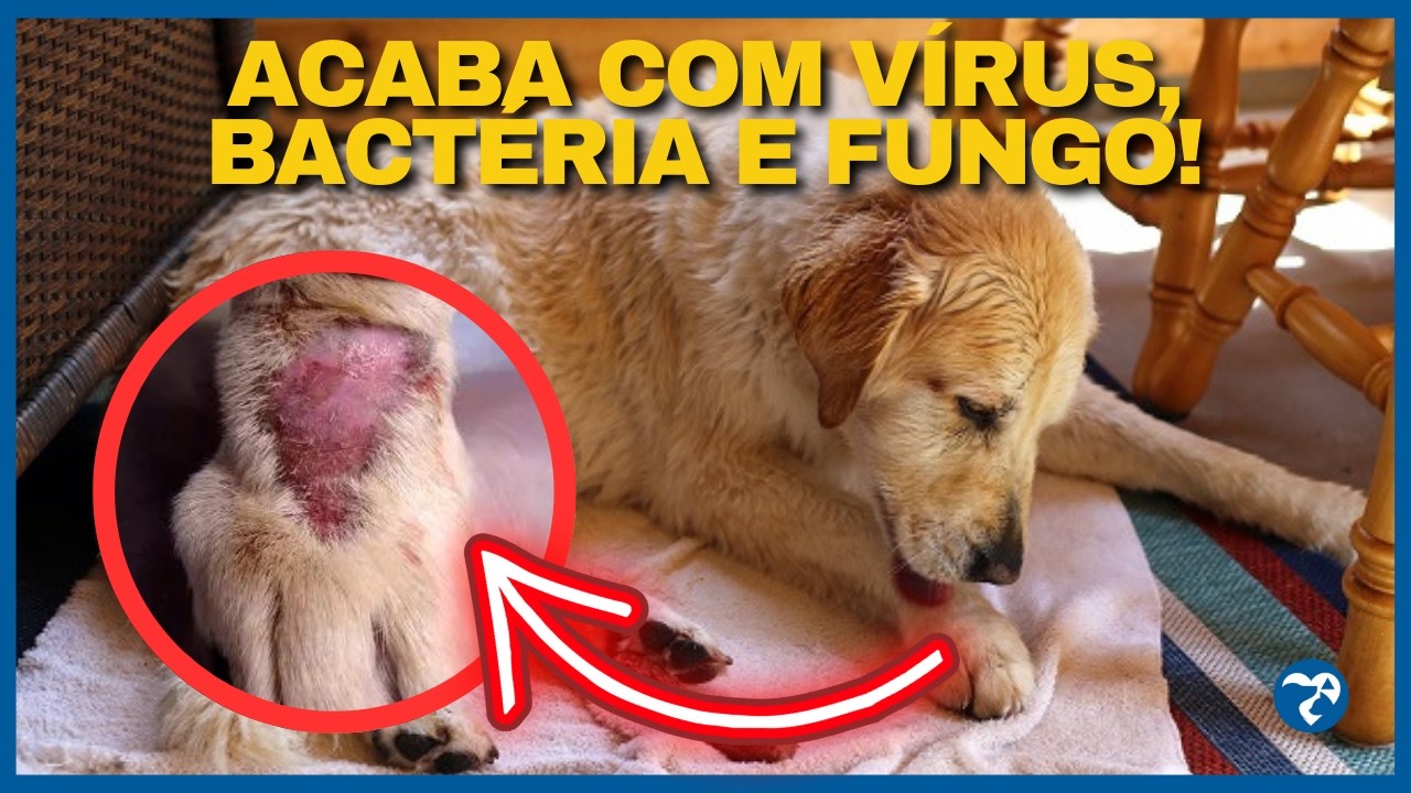 SOLUÇÃO CASEIRA CONTRA DERMATITE EM CÃES E DERMATITE EM GATOS E LAMBE PATAS!