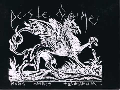 Peste Noire - Mors Orbis Terrarum - Retour de Flamme.avi