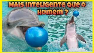 Você não imagina o quanto esse ANIMAL é INTELIGENTE !