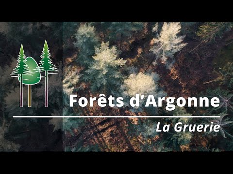 Argonne Forest - Forêts d'Argonne