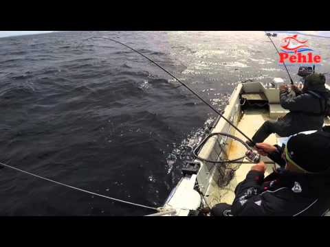 Ausfahrt in Veiholmen