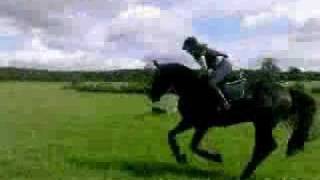 preview picture of video 'Prescott prepares for Breeders 5yr eventing finals'