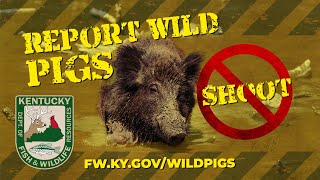 Watch Video - Report, Don't Shoot!