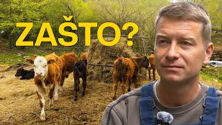 Bio je student generacije. Napustio je Ameriku i vratio se među vukove!