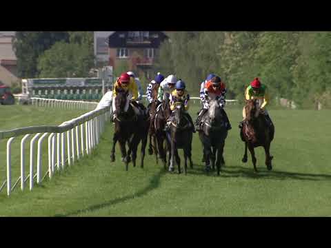 CH, 13. 5. 2018, 6. dostih - CENA SÁZEK BETINO